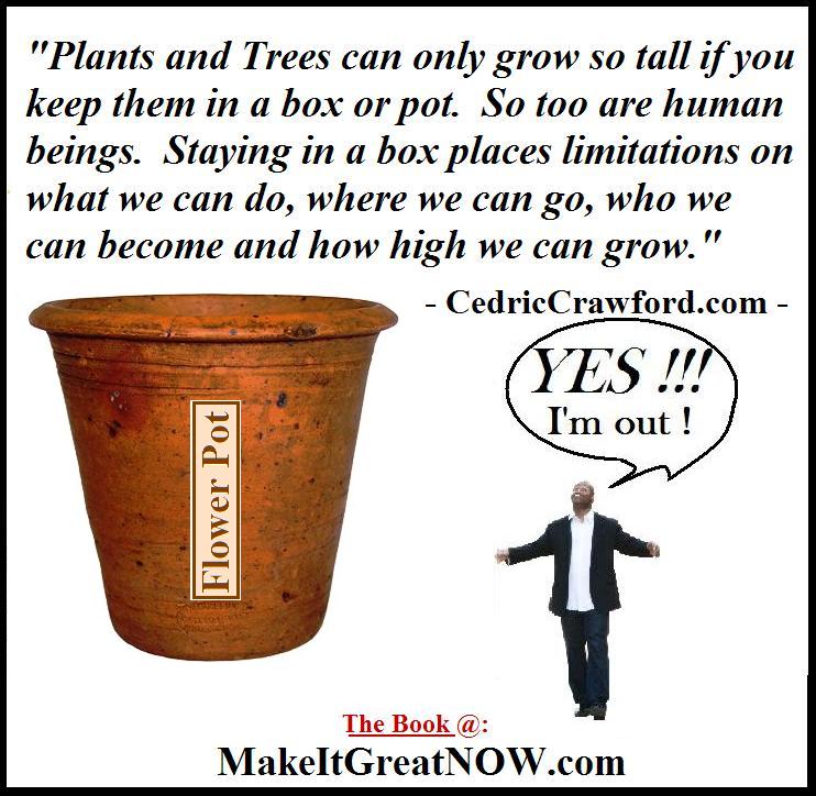Box thinking - 2 (Trees in a Pot)